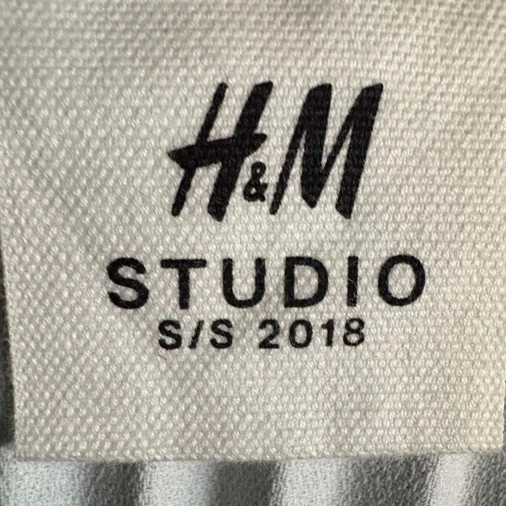 H&M Studio Collection Pleated skirt - Picture 7 of 7